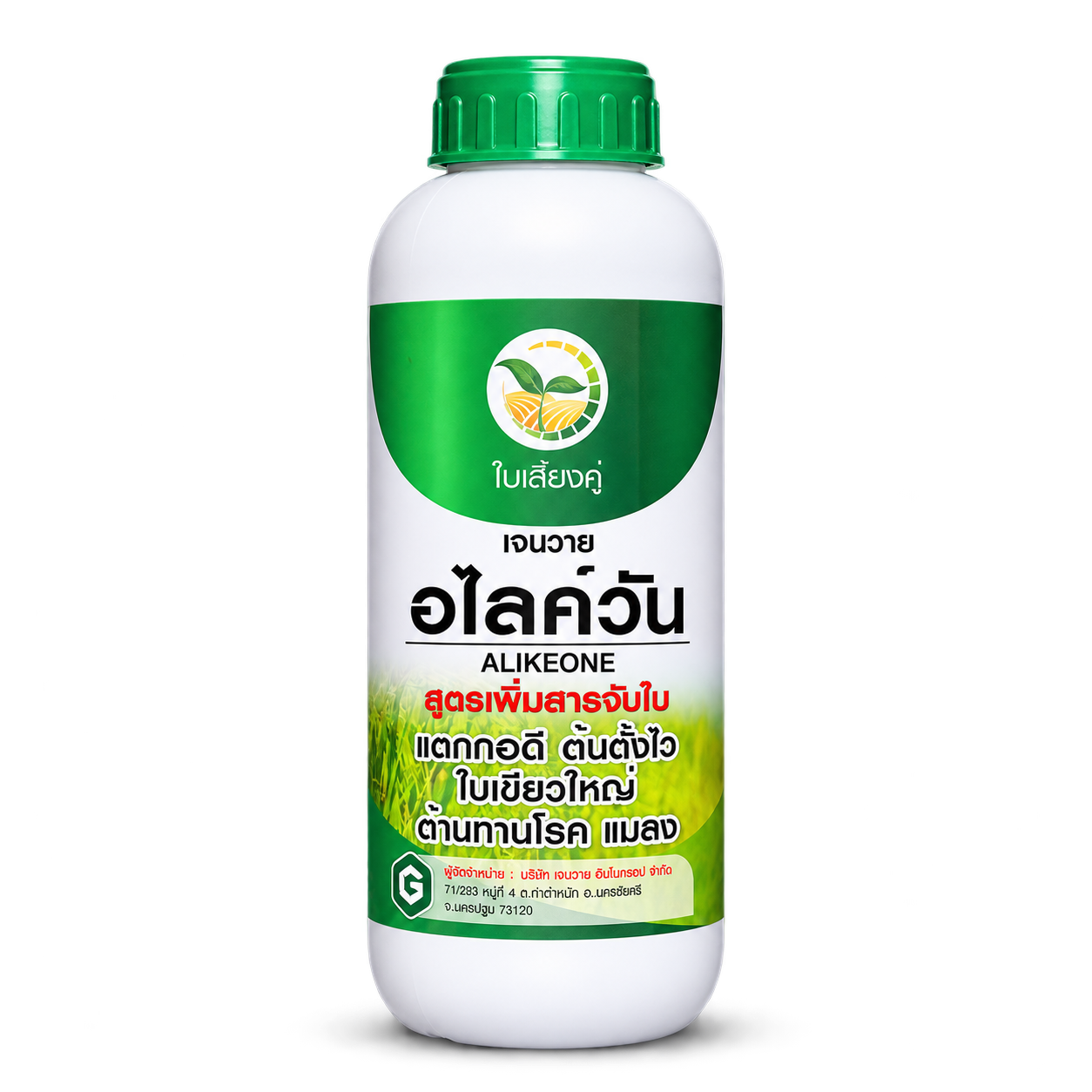 เจนวาย อไลค์วัน